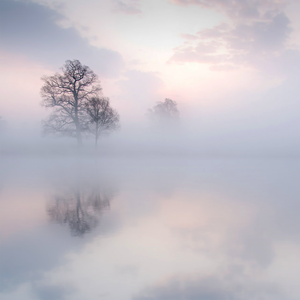 日韩做受❌❌❌高潮久久霉霉P图

