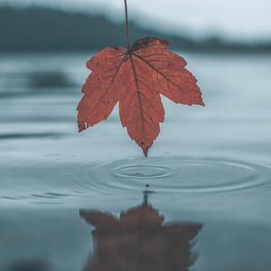 日韩做受❌❌❌高潮久久霉霉P图
